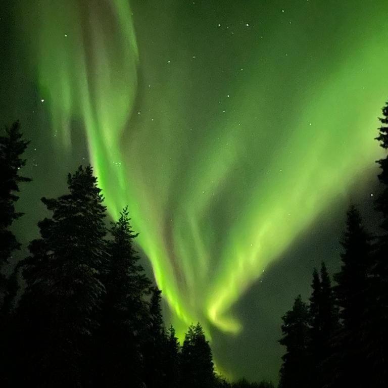 Villa Kuulas Saaskilahti 外观 照片