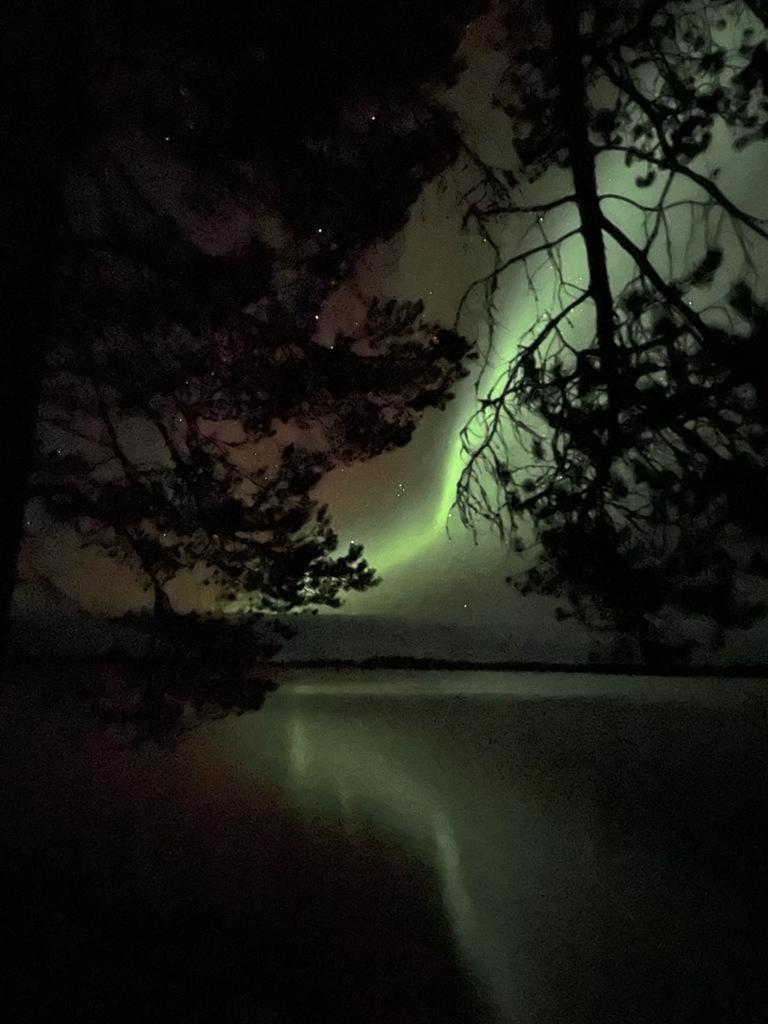 Villa Kuulas Saaskilahti 外观 照片